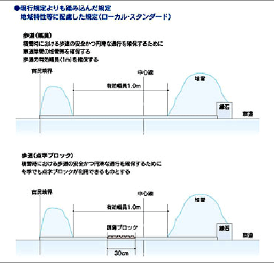 現行規定よりも踏み込んだ規定　地域特性等に配慮した規定（ローカル・スタンダード）