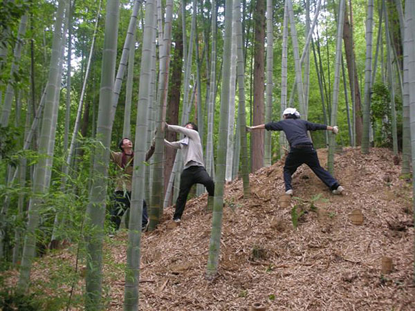 川崎市の山で行った竹の伐採